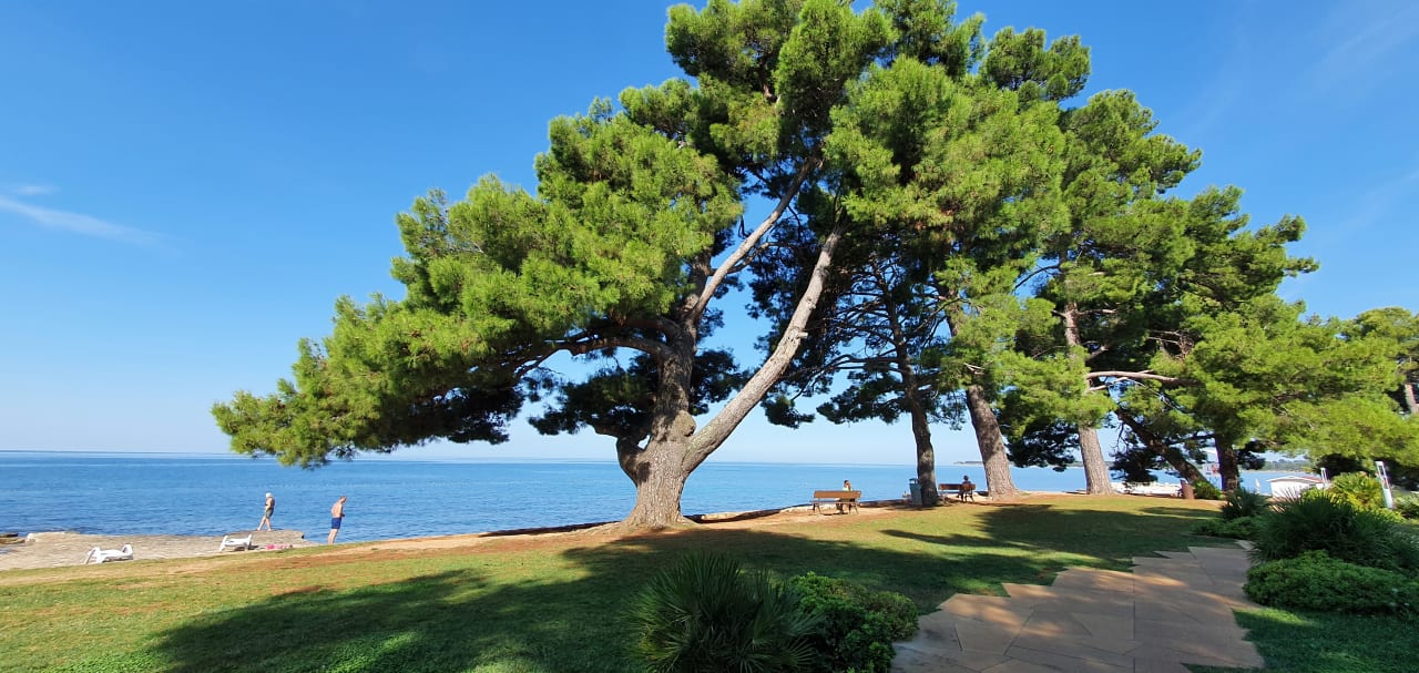 Ausblick Hotel Park Plava Laguna