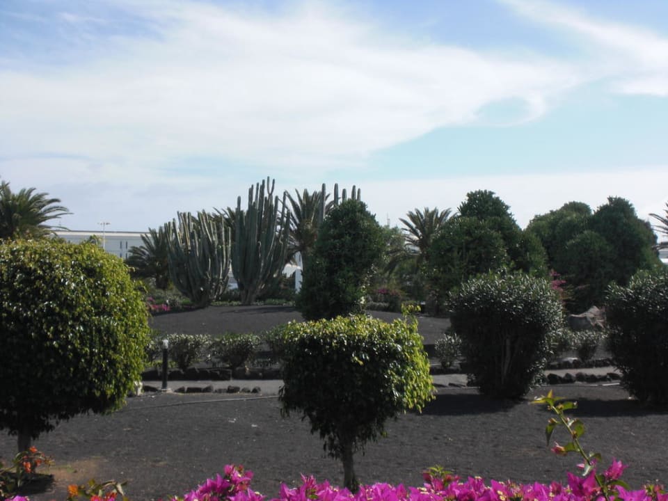 Garten Relaxia Olivina