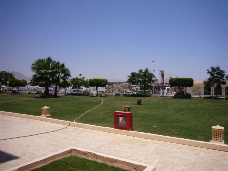 Garten vor unserem Zimmer Helnan Marina Sharm Hotel