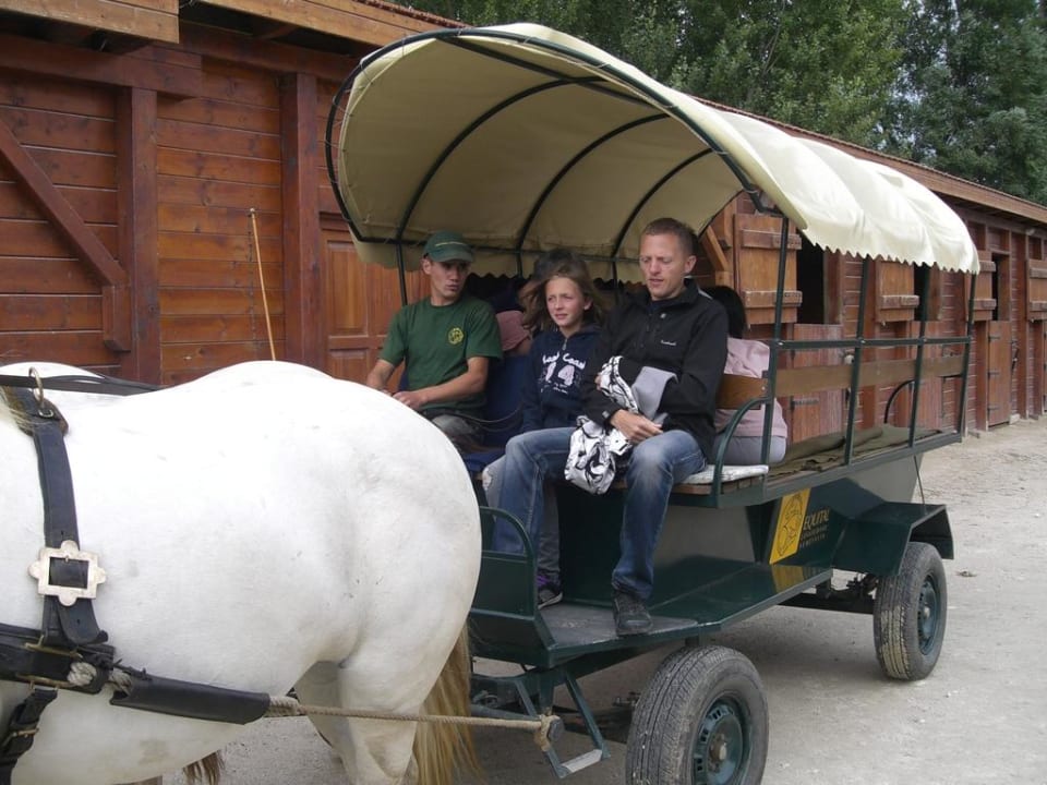 Kutschenfahrt Matild Country Hotel