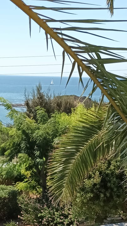 Gartenanlage Rodos Princess Beach Hotel & Spa