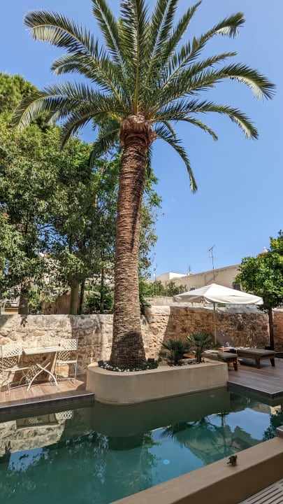 Pool Pepi Studios - Adults only