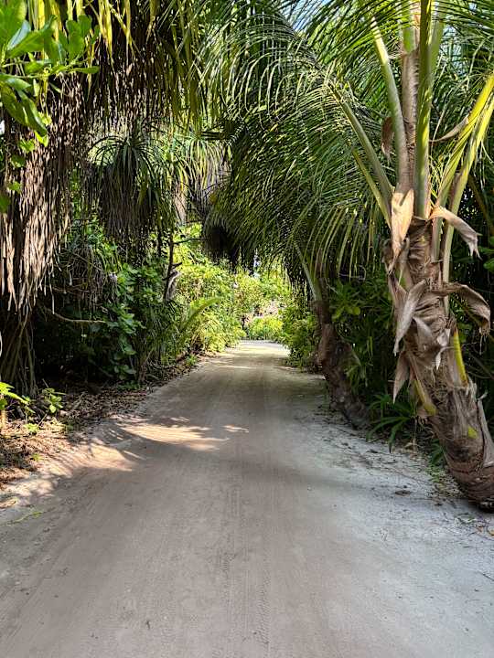 Gartenanlage Kuredu Island Resort & Spa