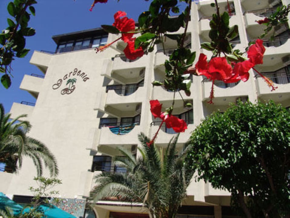 outside Gardenia Hotel