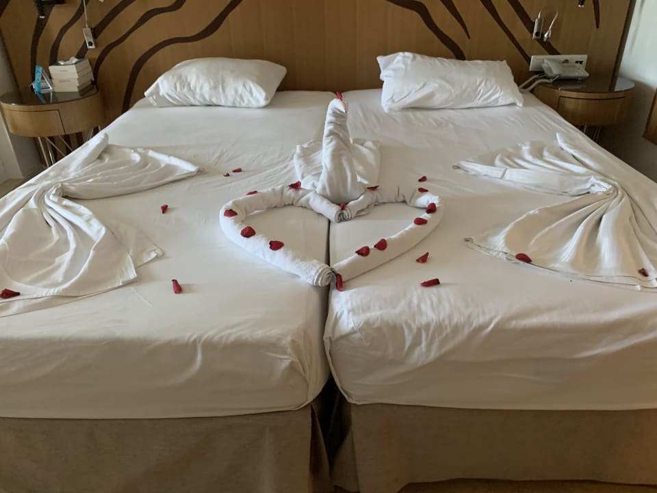 Zimmer Paloma Oceana
