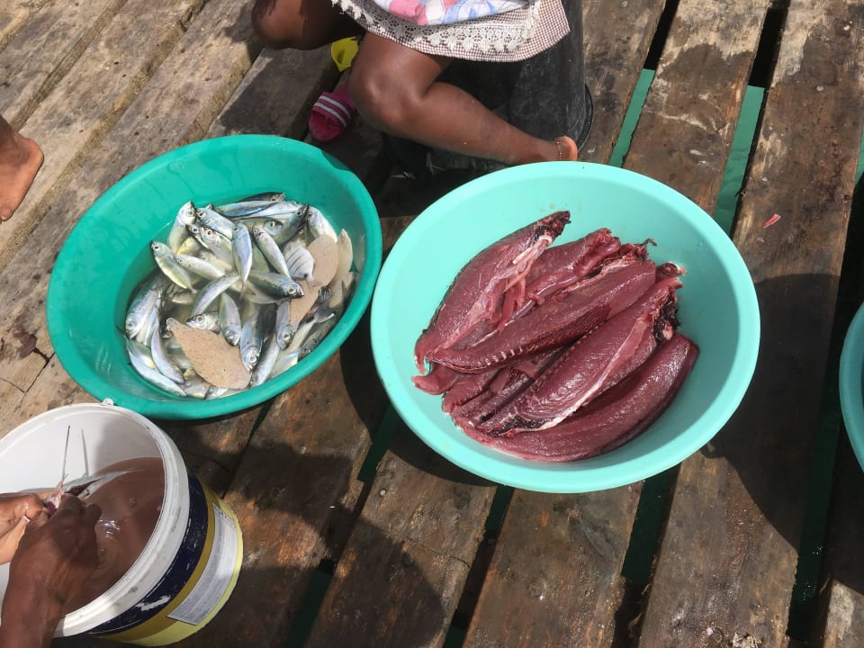 Ryby na molo Oasis Salinas Sea