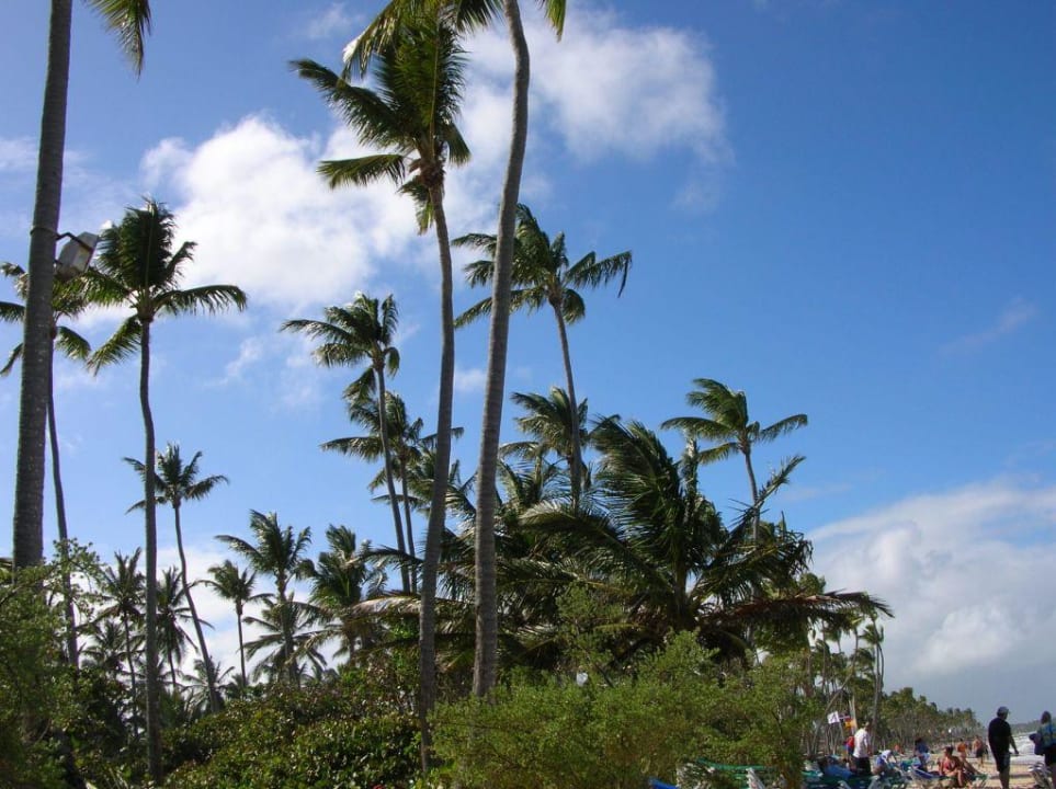 Palmen Grand Palladium Select Bávaro Resort & Spa