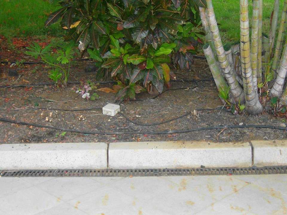 Kabel und Schläuche - überall La Palma Princess
