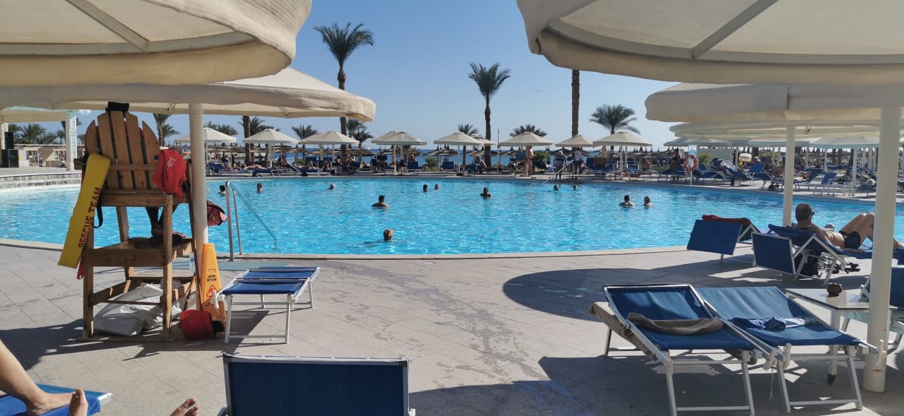 Pool Beach Albatros Resort
