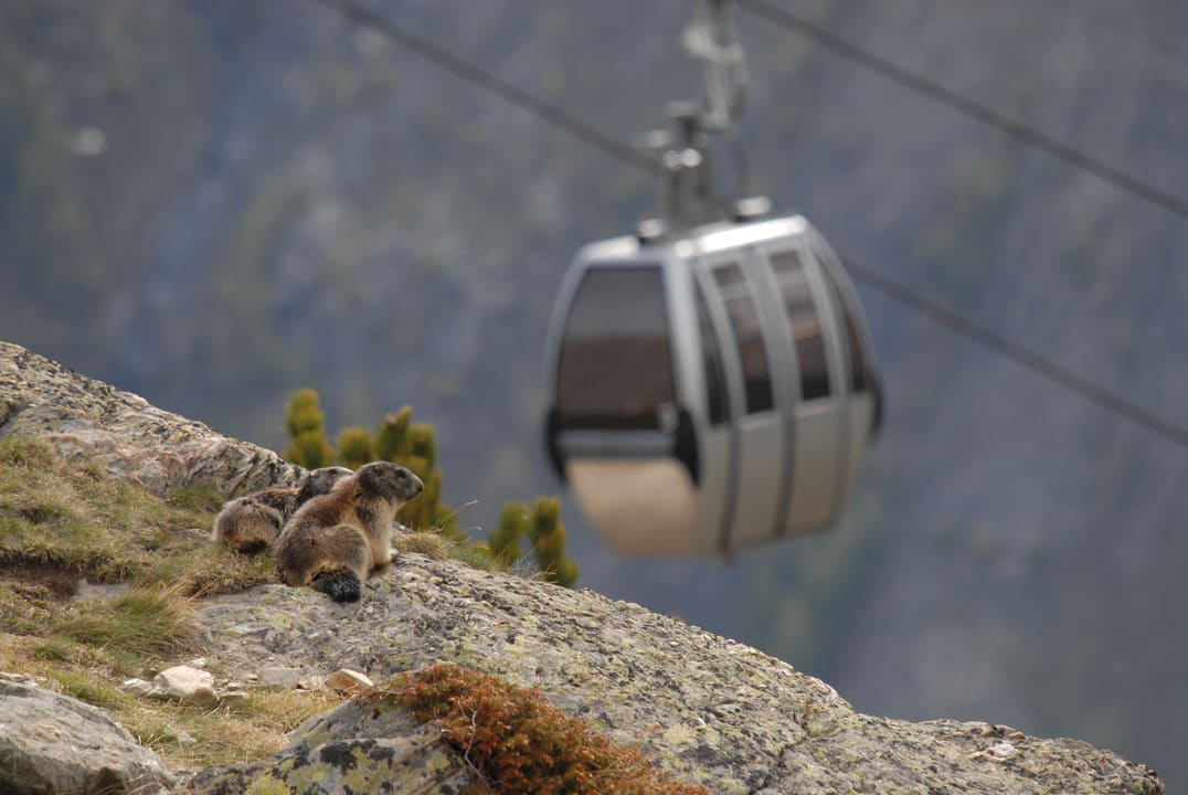 Sonstiges Swiss Family Hotel Alphubel Saas-Fee