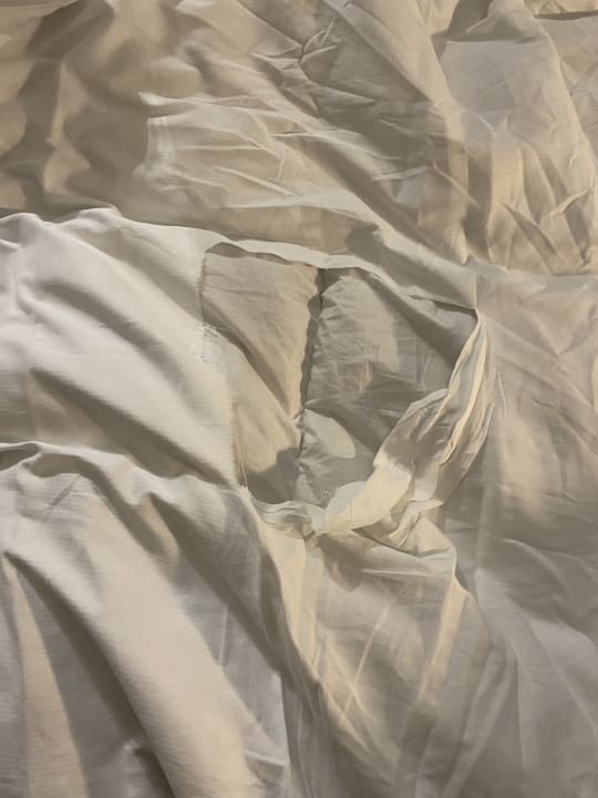 Zimmer Hotel Montana Zürich