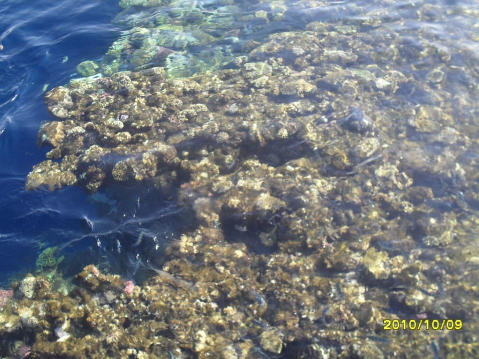 Rafa z pomostu Hotel Nubian Village