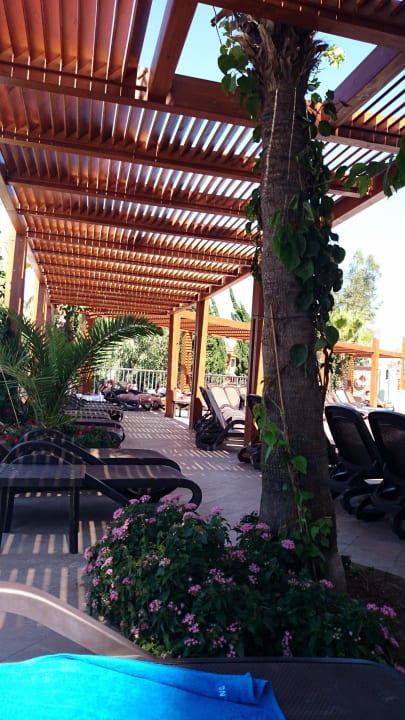 Liegen am Pool Side Alegria Hotel & Spa - Adults only +16