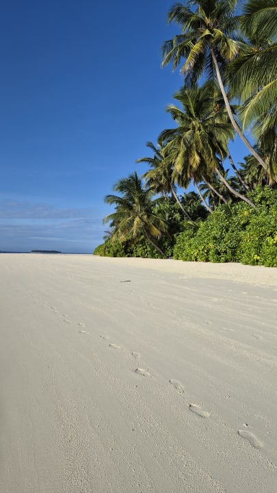 Strand Sun Siyam Vilu Reef