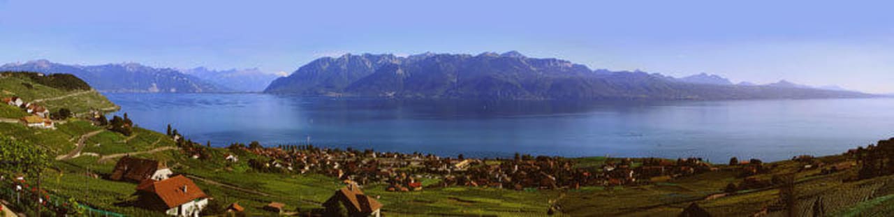 Lavaux Auberge de la Gare