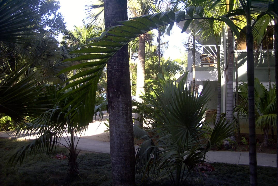 Tropischer Garten Couples Negril - Adults only