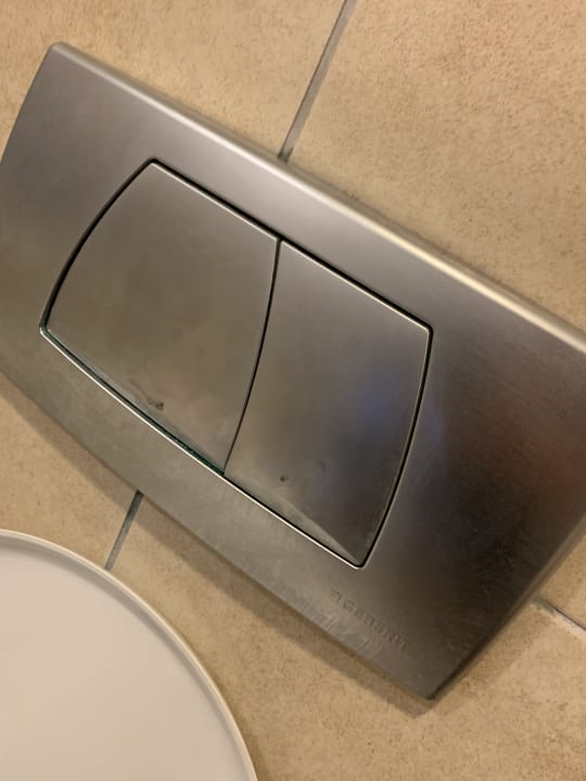 Zimmer Well Palace Side