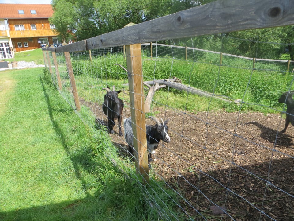 Sonstiges Feriendorf Schwarzholz