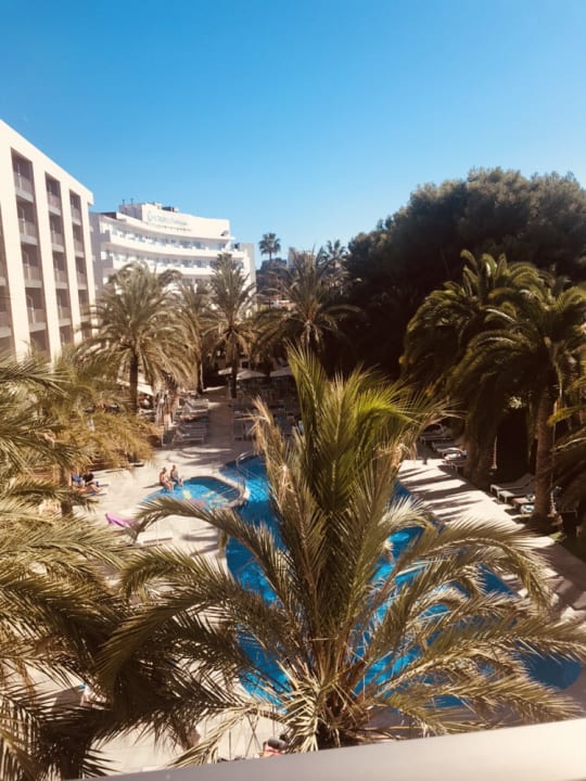 Ausblick Hotel Cosmopolitan