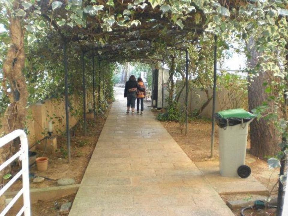 Weg zum Son Rigo & Restaurant Aparthotel Houm Plaza Son Rigo