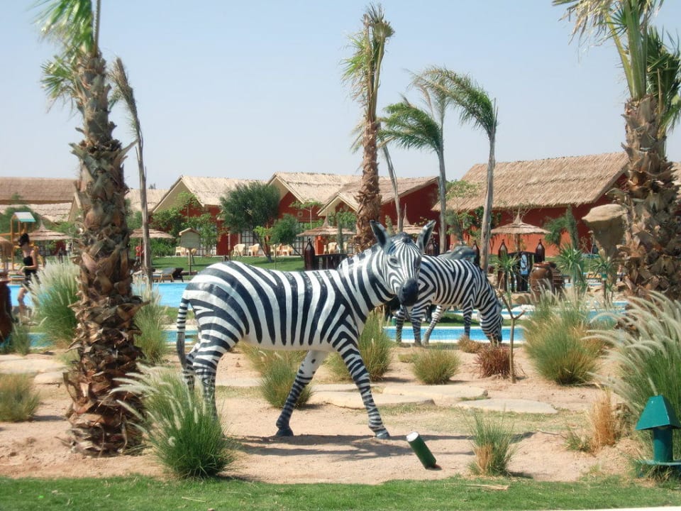 Garten Pickalbatros Jungle Aqua Park Resort - Neverland Hurghada