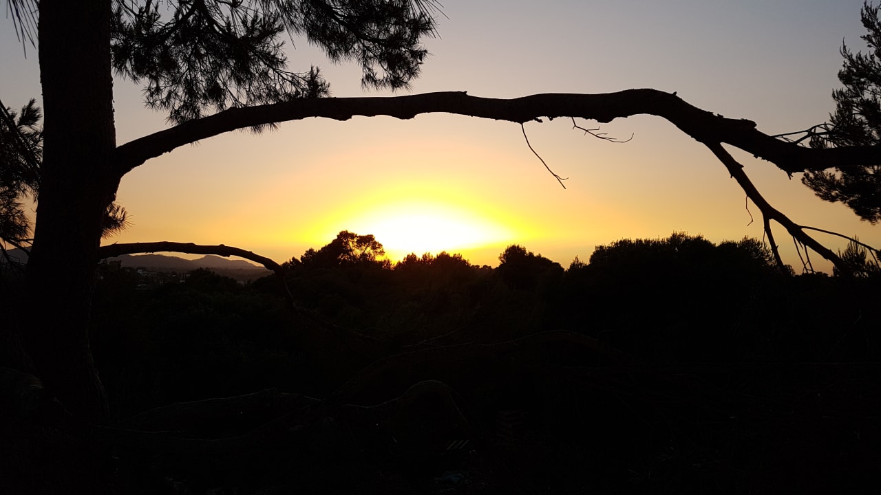 Ausblick blau punta reina