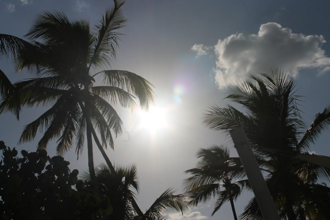 Ausblick Dreams La Romana Resort & Spa