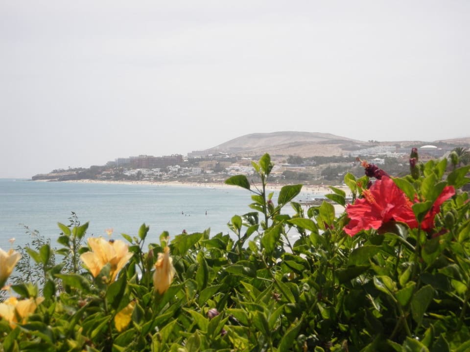 Blick auf die Costa Calma SBH Costa Calma Beach Resort