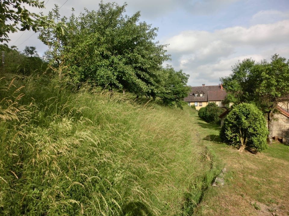 Blick zum Gasthof Gasthof Hösch