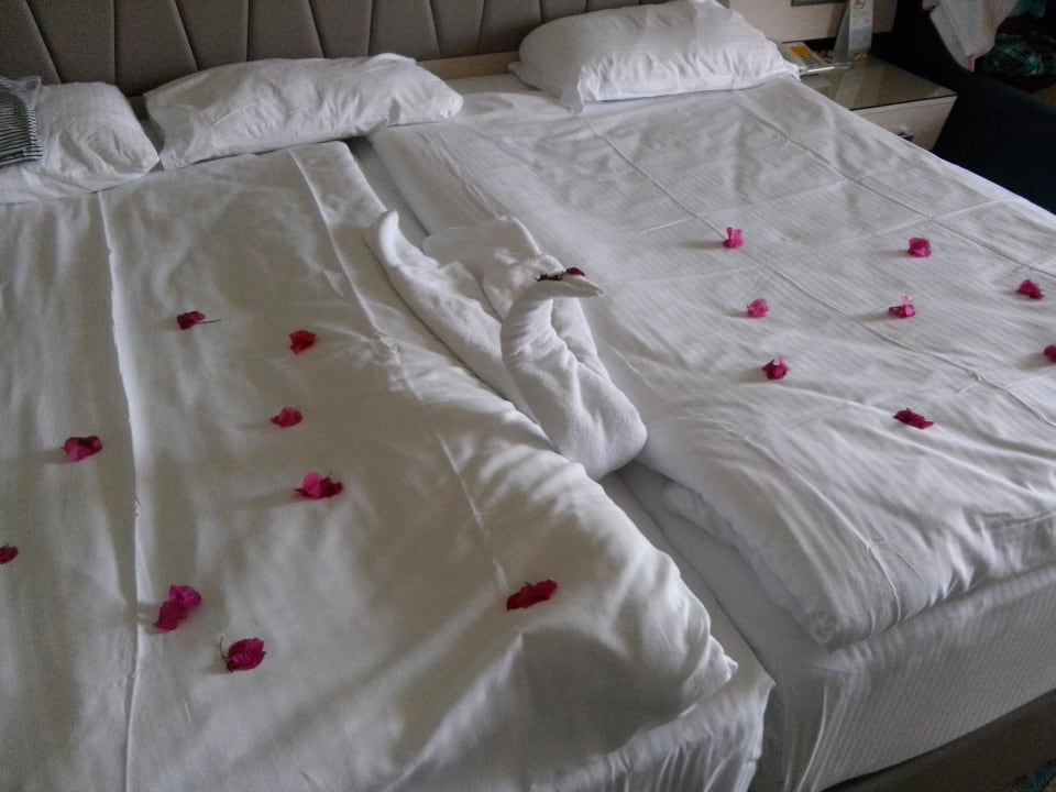 Zimmer Megasaray Club Belek