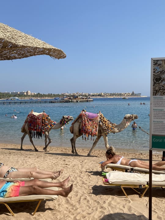 Strand Hotel JAZ Makadi Star & Spa