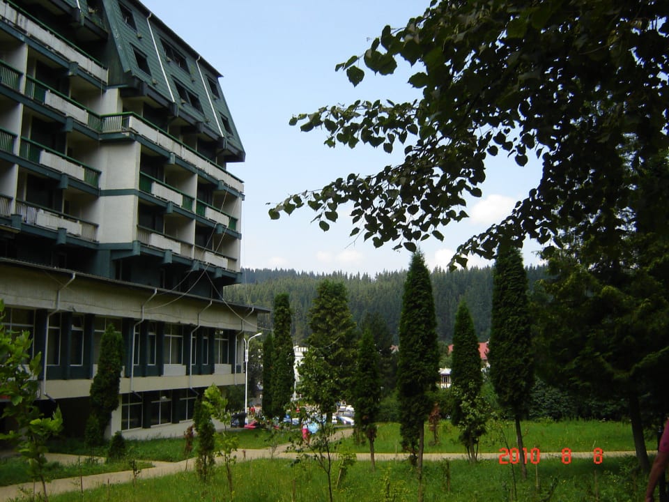 Hotel Bradul Hotel Bradul