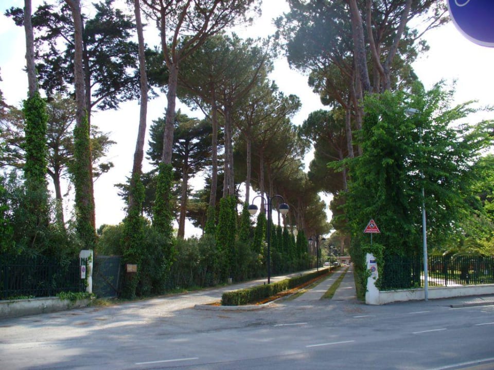 Hoteleinfahrt Park Hotel Marinetta