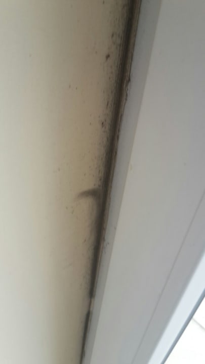 Zimmer Aparthotel Park Avangard