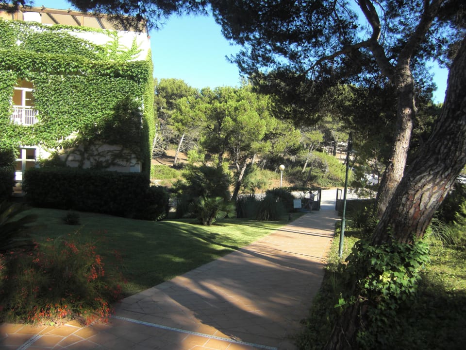 Gepflegte Gartenanlage VIVA Cala Mesquida Suites & Spa 16+