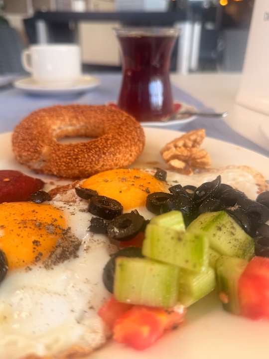 Gastro Seashell Vega