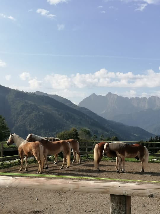Sport & Freizeit Wohlfühlresort Peternhof