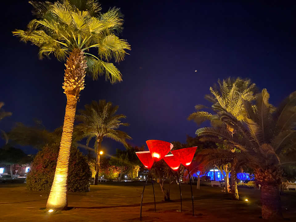 Gartenanlage Desert Rose