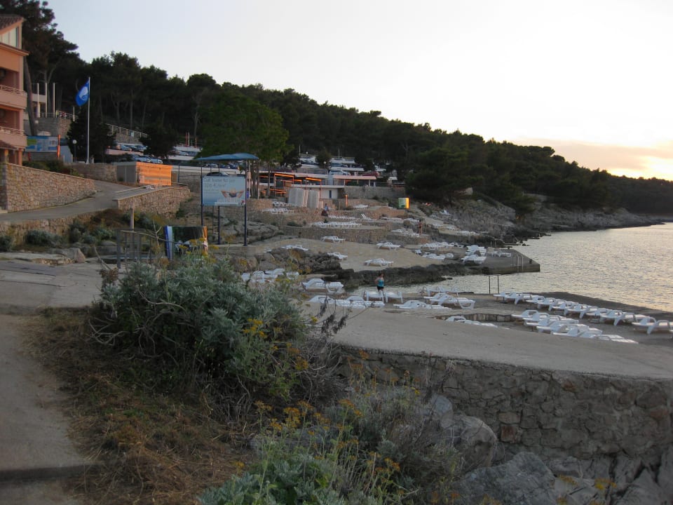 Eine Übersicht des Strands Vitalhotel Punta