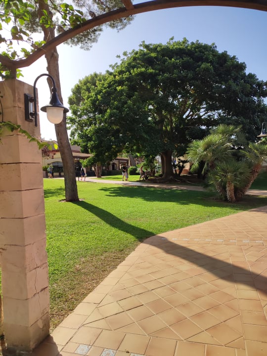Gartenanlage Zafiro Mallorca