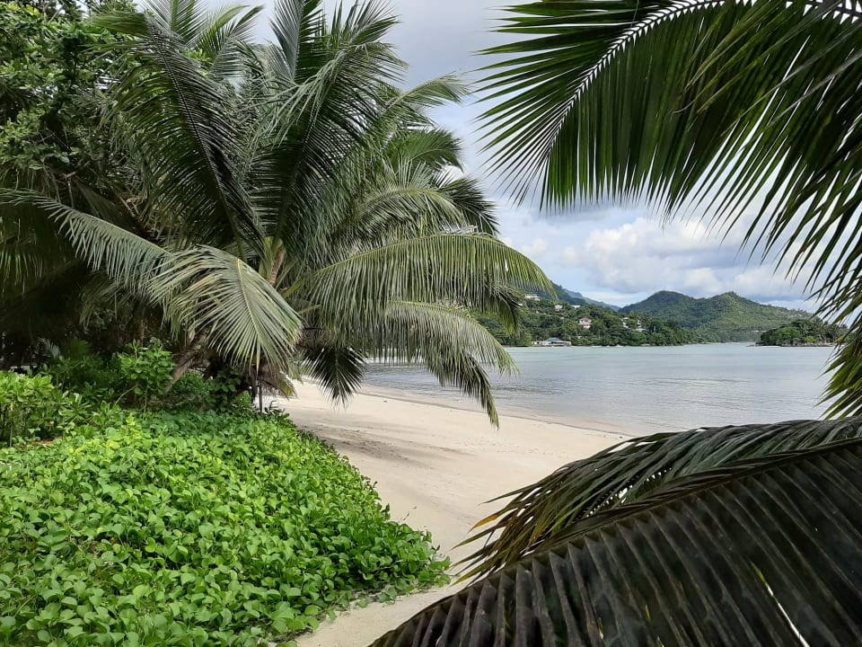 Ausblick Constance Ephelia