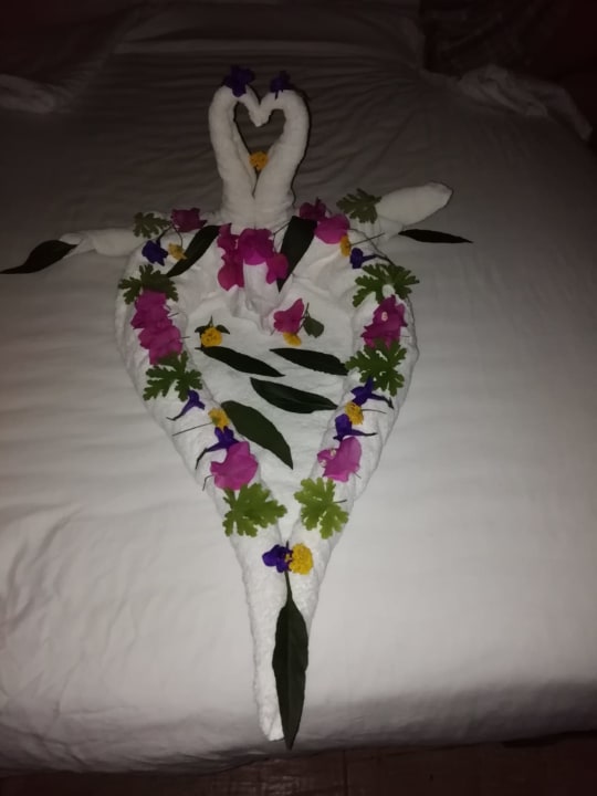 Zimmer Prima Life Makadi Resort