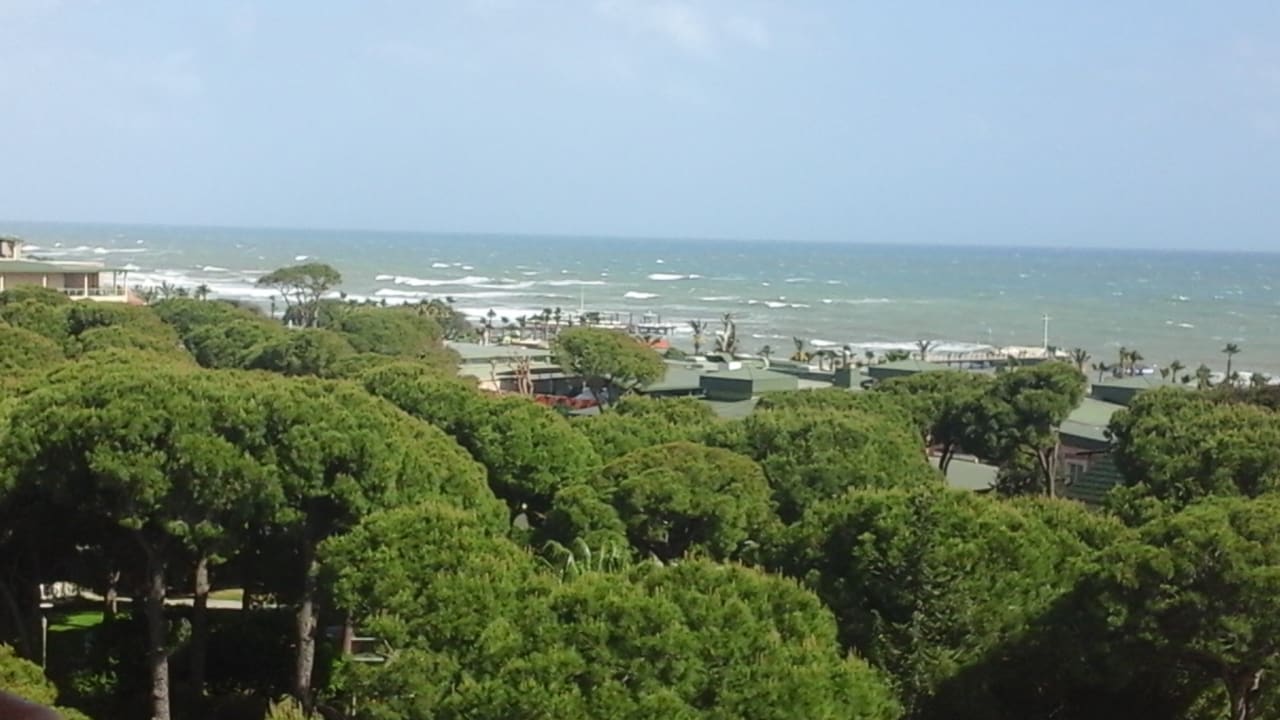 Ausblick Papillon Ayscha