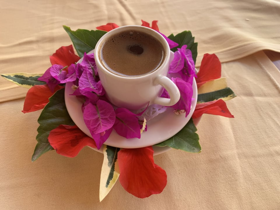 Gastro Hotel Defne Garden