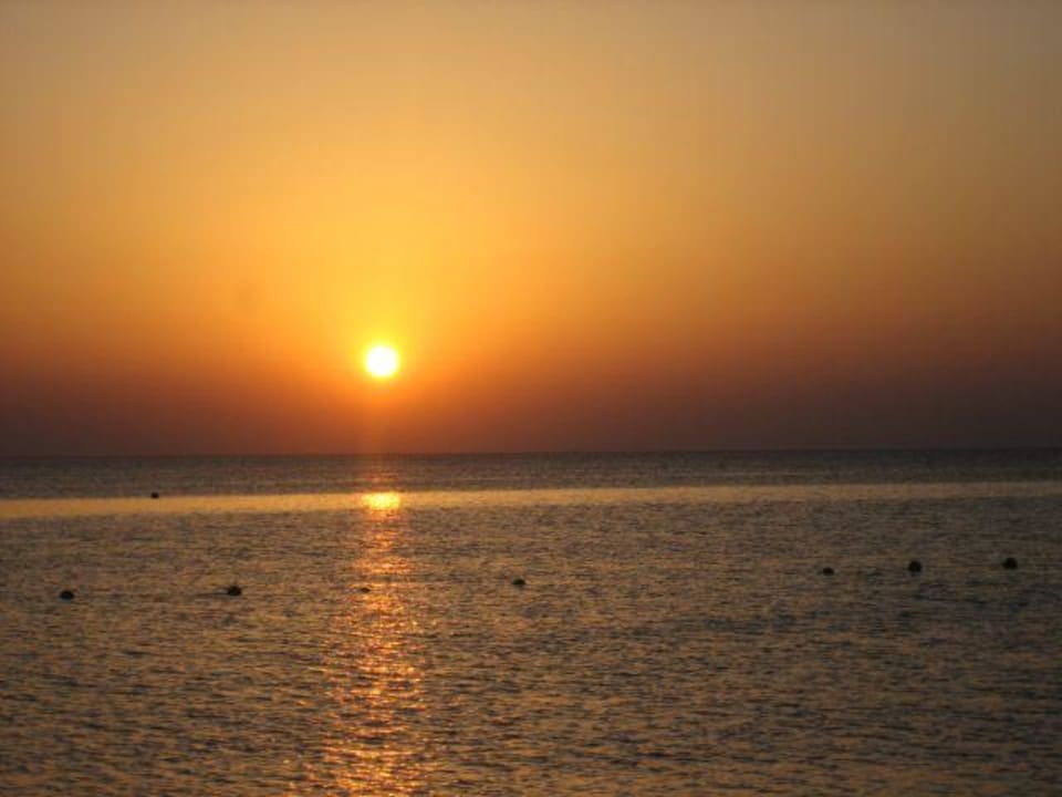 Sonnenaufgang am Strand Jaz Makadi Gardens - TUI BLUE Makadi Gardens - Adults Friendly 16 Years Plus
