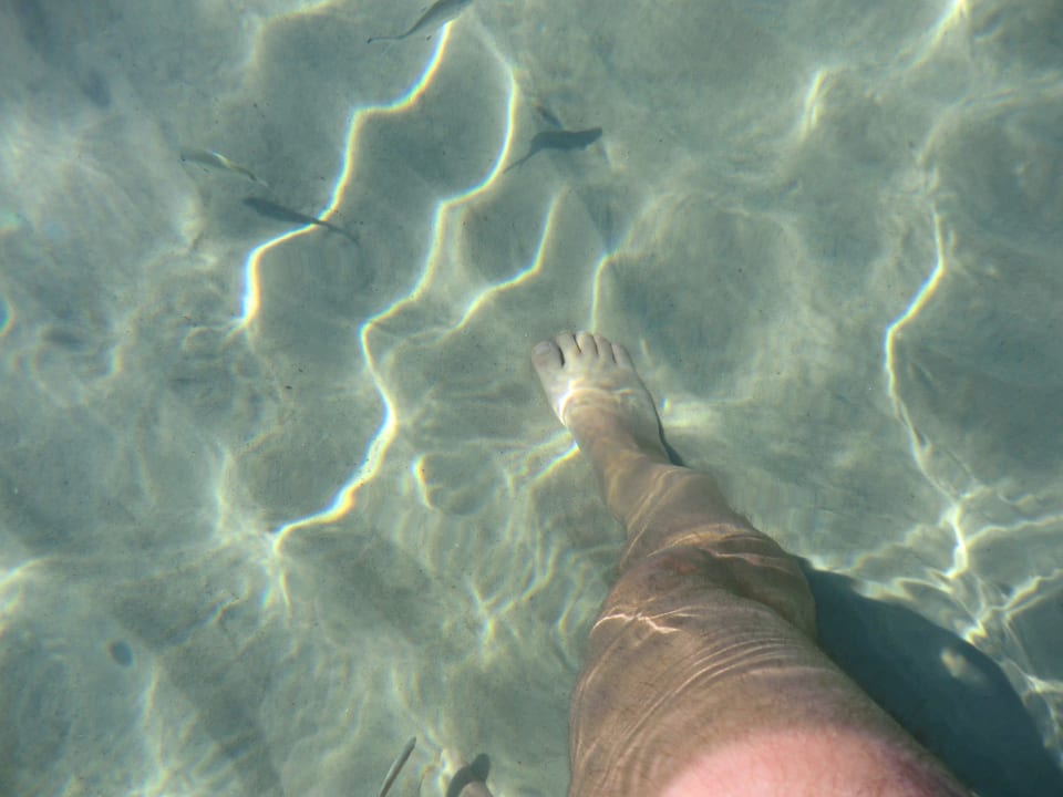 Wasserqualität El Mouradi Club Kantaoui