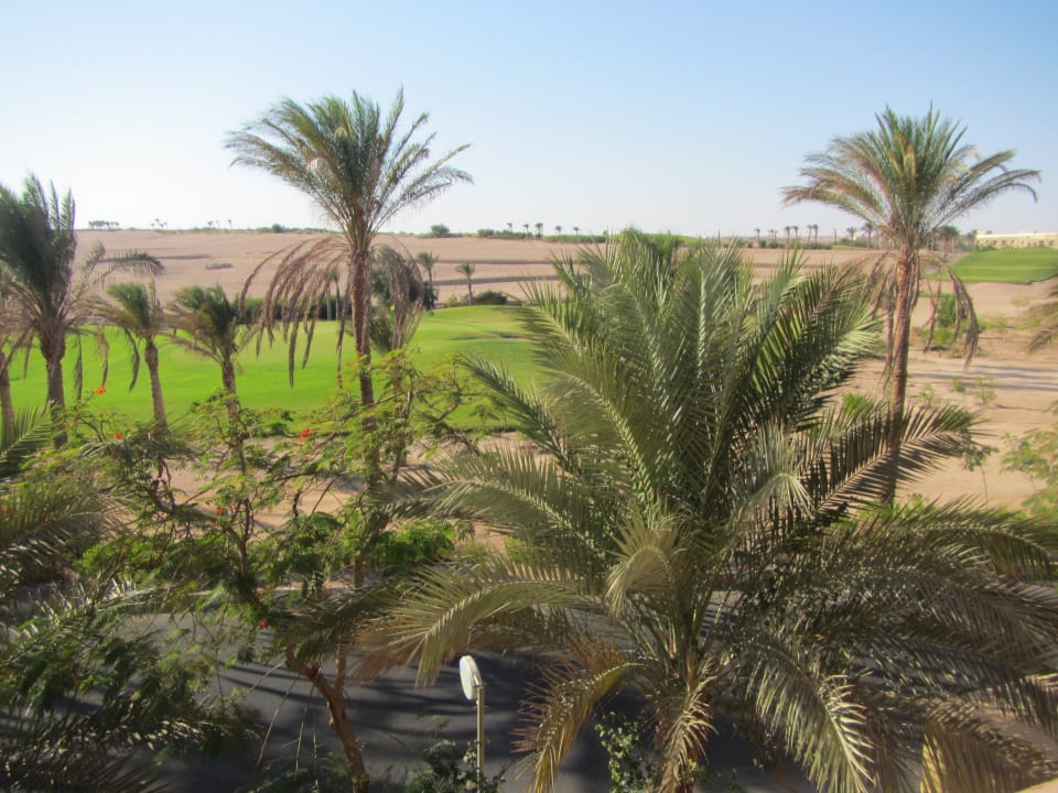Вид из окна Jaz Makadi Saraya Resort
