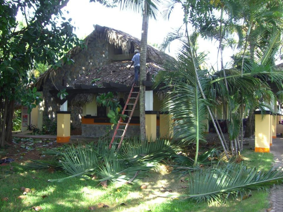 Der Kokosmann Wyndham Alltra Samana