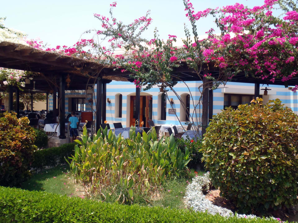 Beach Restaurant TUI MAGIC LIFE Kalawy