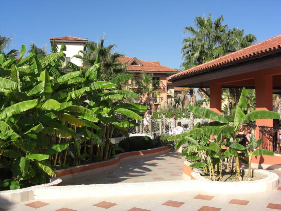 Hotel mit Gartenanlage Club Grand Aqua